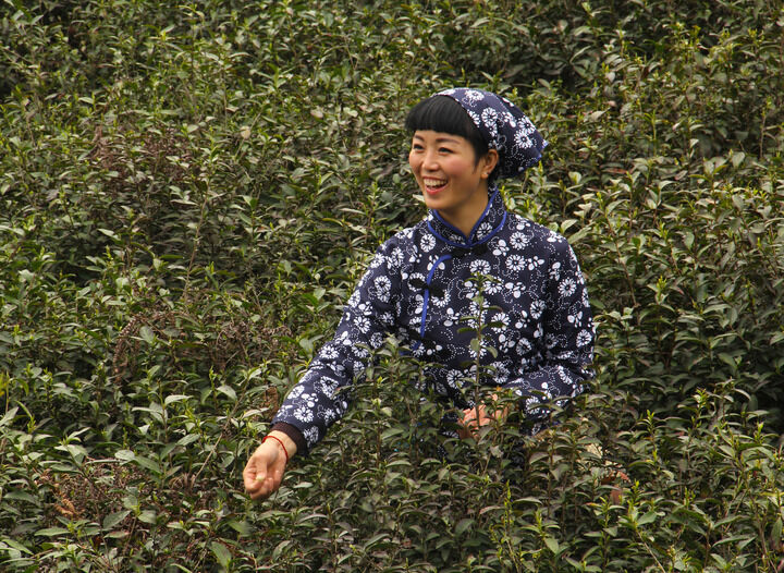 伊人app直播免费入口